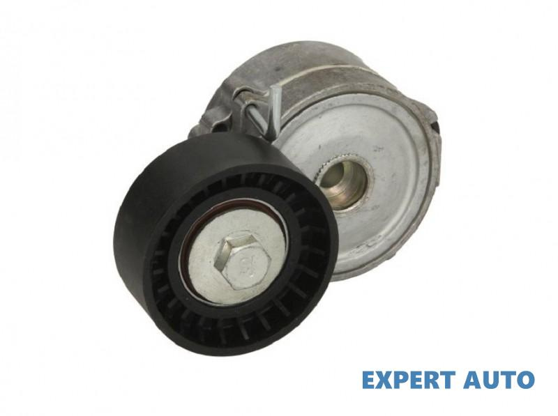 Rola intinzator,curea transmisie Land Rover FREELANDER 2 (FA_) 2006-2014 #2 30128
