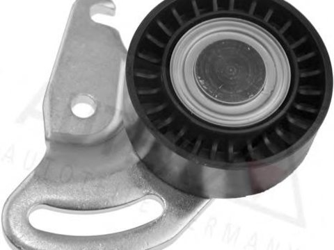 Rola intinzator,curea transmisie RENAULT KANGOO (KC0/1_), RENAULT CLIO Mk II (BB0/1/2_, CB0/1/2_), RENAULT KANGOO Rapid (FC0/1_) - AUTEX 641993