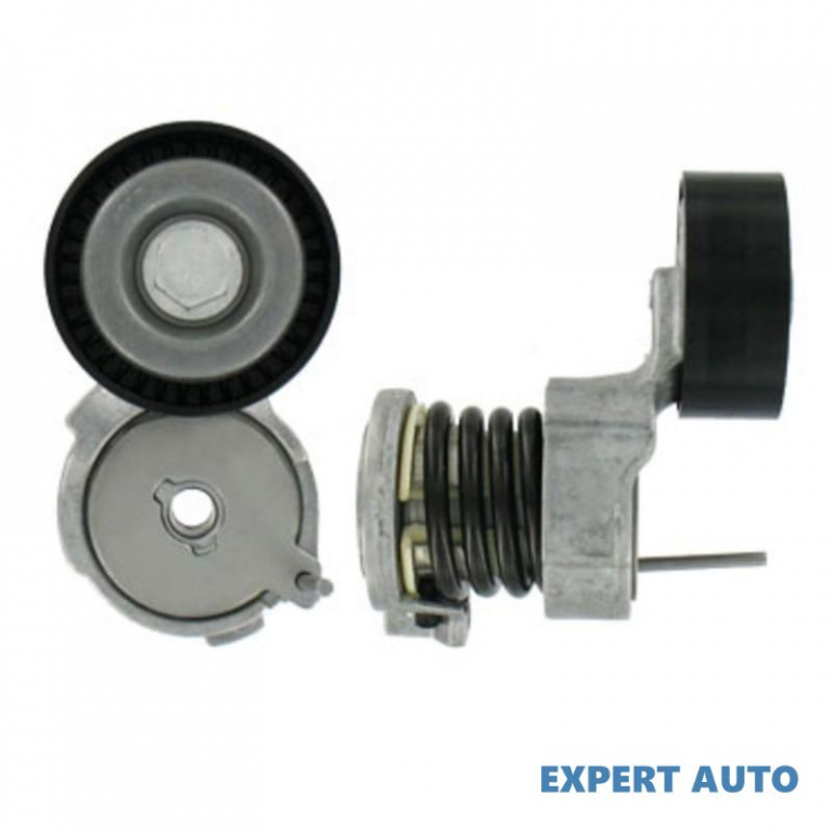 Rola intinzator,curea transmisie Seat SEAT IBIZA V SPORTCOUPE (6J1, 6P1) 2008-2016 #3 03E903133A
