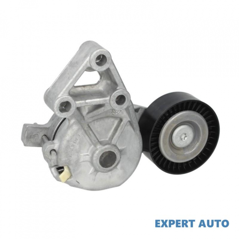 Rola intinzator,curea transmisie Skoda OCTAVIA Combi (1U5) 1998-2010 #2 038903315AE