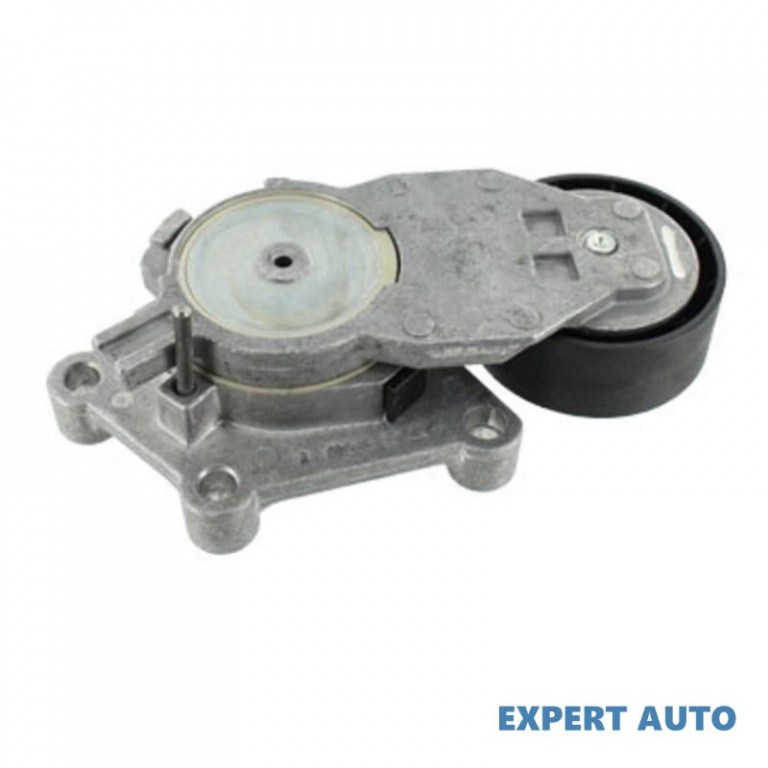 Rola intinzator,curea transmisie Toyota AYGO (WNB1