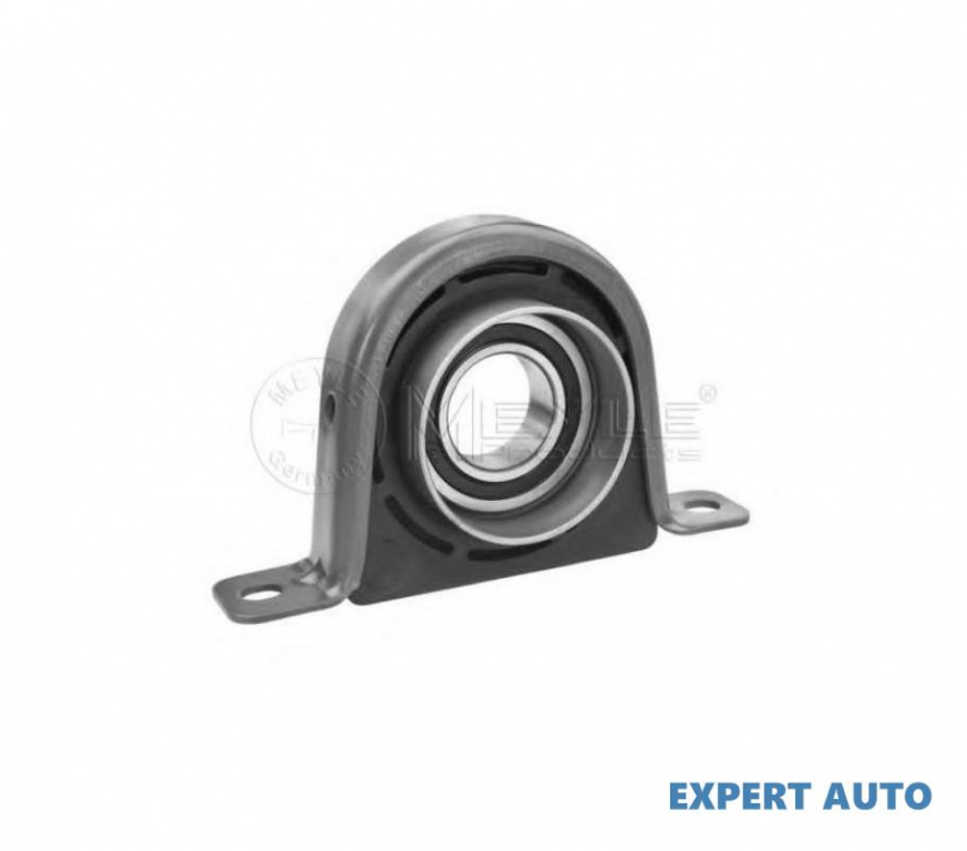 Rulment intermediar cardan Iveco DAILY III platou / sasiu 1999-2006 #2 000934