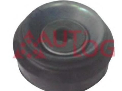 Rulment sarcina suport arc AUDI 90 (8C, B4), AUDI 80 Avant (8C, B4), AUDI 4000 (81, 85, B2) - AUTLOG FT2074