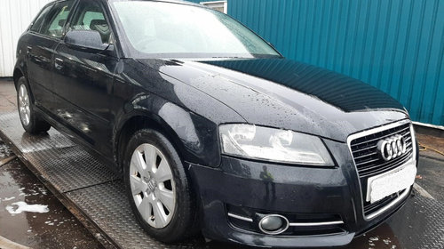 Rulou polita portbagaj Audi A3 8P 2011 H