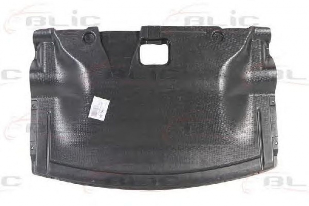 Scut motor BMW 3 E46 BLIC 6601020061861P