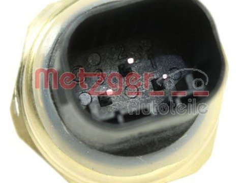 Senzor presiune combustibil 0906315 METZGER pentru Mercedes-benz Cls Mercedes-benz G-class Mercedes-benz Sprinter Mercedes-benz C-class Mercedes-benz Vito Mercedes-benz Viano Mercedes-benz S-class Mercedes-benz E-class Mercedes-benz Glk-class Mercedes