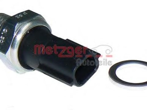 Senzor presiune ulei DACIA LOGAN (LS_), RENAULT TWINGO II (CN0_), DACIA LOGAN MCV (KS_) - METZGER 0910069