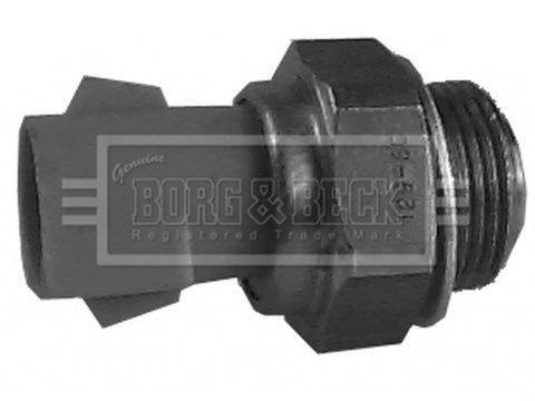 Senzor sonda temperatura apa FORD PUMA EC BORG & BECK BTS82499