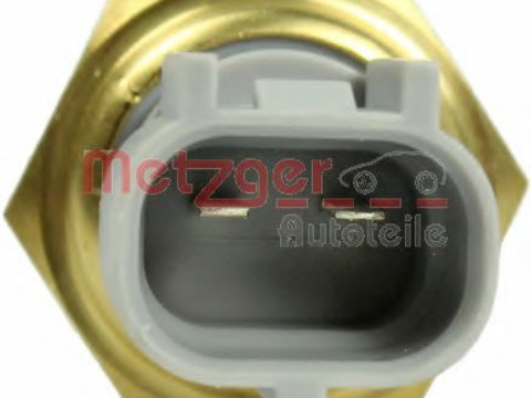 Senzor,temperatura aer admisie BMW 6 (E63) (2004 - 2010) METZGER 0905443