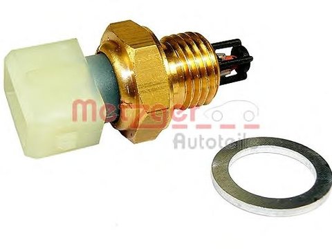 Senzor,temperatura aer admisie RENAULT CLIO (B/C57_, 5/357_), RENAULT LAGUNA I I (B56_, 556_), RENAULT SAFRANE (B54_) - METZGER 0905062