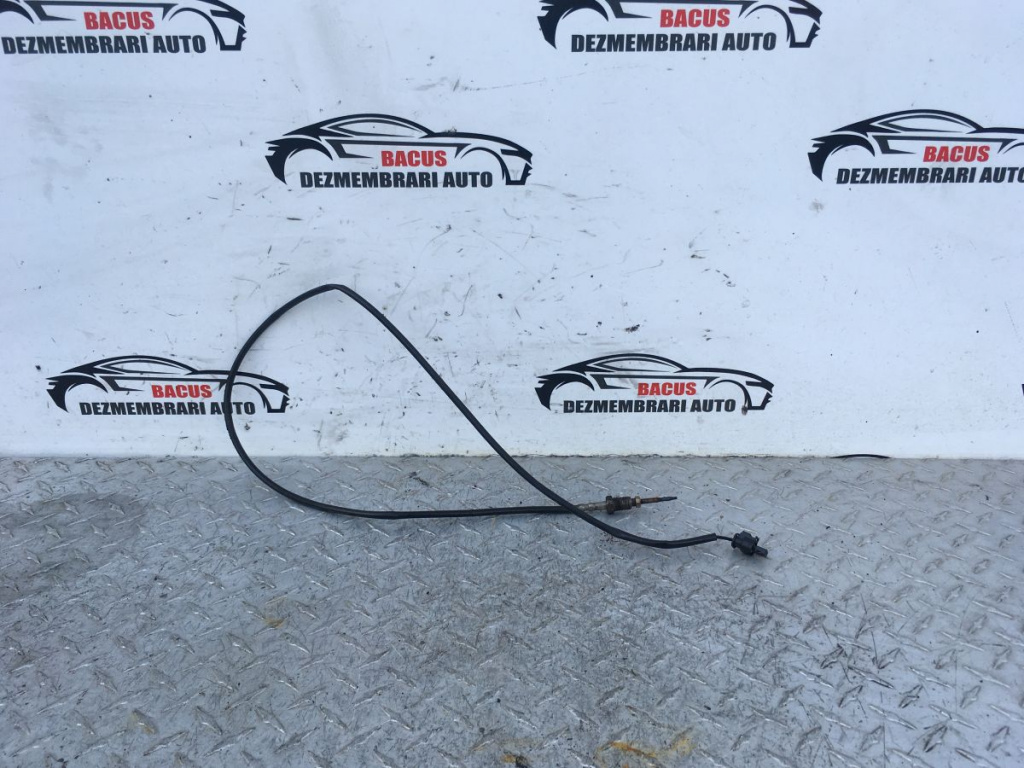 Senzor Temperatura Evacuare BMW 1 (F20, F21) 2010 