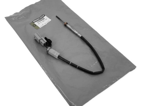 Senzor Temperatura Filtru Particule Oe Renault 8201028744