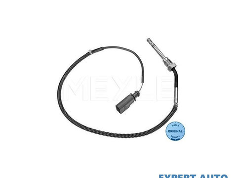 Senzor, temperatura gaze evacuare Audi AUDI A4 Cabriolet (8H7, B6, 8HE, B7) 2002-2009 #2 059906088H