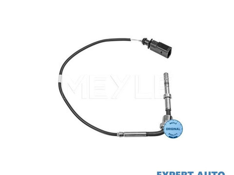 Senzor, temperatura gaze evacuare Audi AUDI A4 Cabriolet (8H7, B6, 8HE, B7) 2002-2009 #2 059906088A