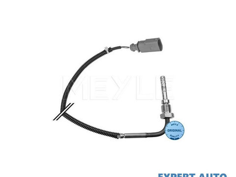 Senzor, temperatura gaze evacuare Audi AUDI A4 Cabriolet (8H7, B6, 8HE, B7) 2002-2009 #2 03G906088BA