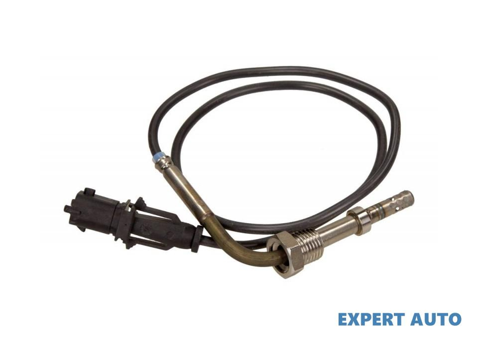 Senzor temperatura gaze evacuare Fiat PANDA (169) 
