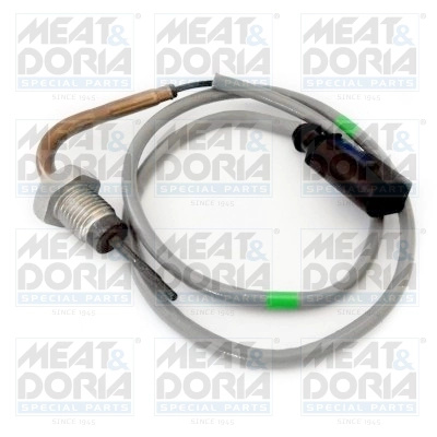 Senzor, temperatura gaze evacuare MEAT & DORIA 12384 la masina SEAT ATECA (KH7, KHP) 2016 2017 2018 2019 2020 2021
