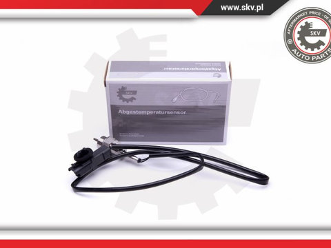 Senzor temperatura gaze evacuare ; RENAULT Grand Scenic II Megane II Scenic II 1.9 dCi ; 8200420764