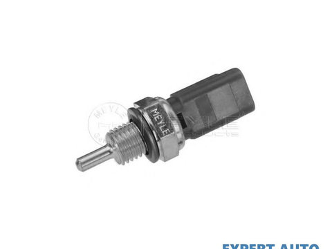 Senzor,temperatura lichid de racire Fiat SCUDO Combinato (220P) 1996-2006 #2 0905104