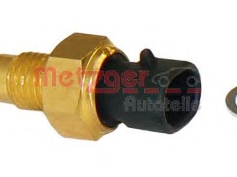 Senzor,temperatura lichid de racire OPEL MONZA E (39_, 49_), OPEL KADETT E Cabriolet (43B_), OPEL KADETT E combi (35_, 36_, 45_, 46_) - METZGER 090502