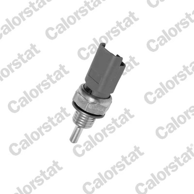 Senzor temperatura lichid racire Calorstat by Vernet WS2606