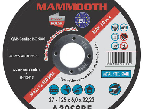 Set 10 Buc Disc Abraziv Mammooth 125mm M.GM27.A30BF.125.6B