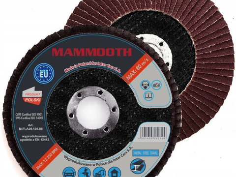 Set 10 Buc Disc Abraziv Mammooth La29 125mm M.FLA29.125.80B