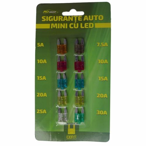 Set 10 sigurante auto mini cu led RoGroup, 12V