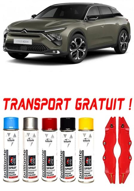 Set 5 spray de vopsea rezistenta pentru etrier auto, kit compatibil cu Citroen C-Crosser, Suv, fabricat din 03.2007 - 08.2012 - rosu albastru negru argintiu galben set-spray-etriere159