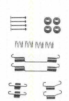 Set accesorii saboti de frana LAND ROVER DISCOVERY   (LJ, LG) (1989 - 1998) TRISCAN 8105 172466