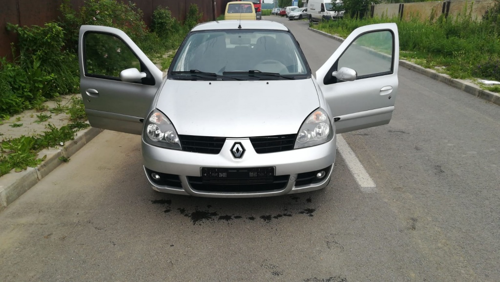 Set amortizoare fata Renault Symbol II 2007 Berlina 1.4