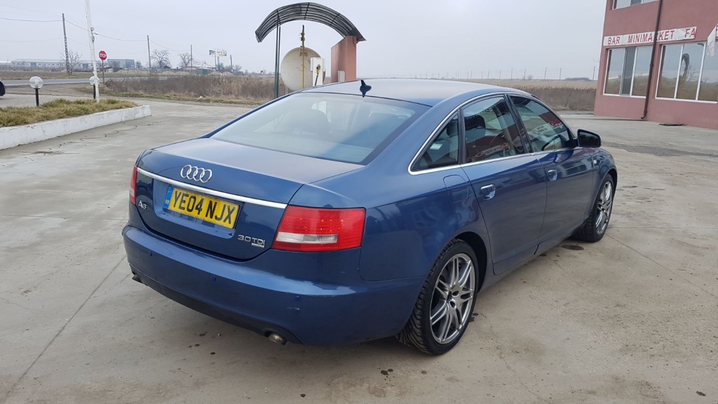 Set amortizoare spate Audi A6 4F C6 2004