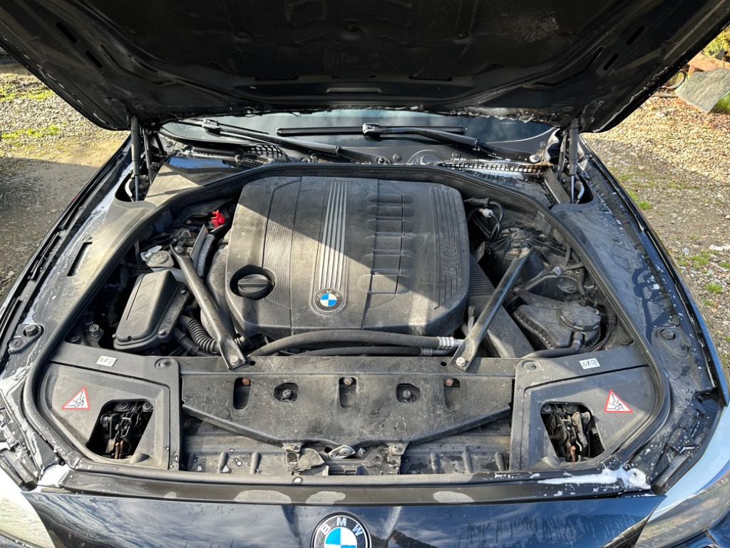 Set amortizoare spate BMW F10 2011 Berli