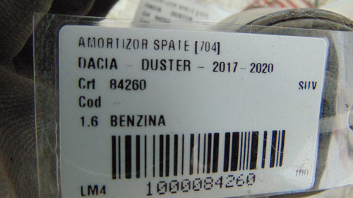 Set amortizoare spate Dacia Duster din 2