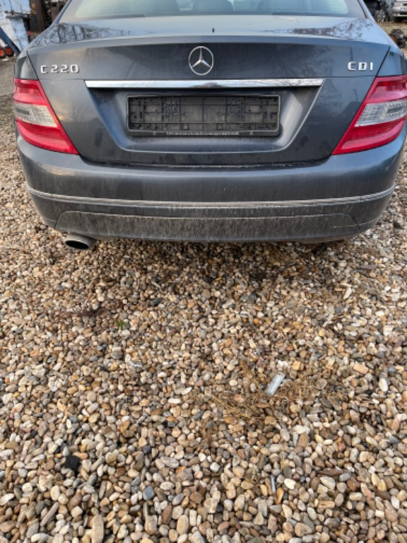 Set amortizoare spate Mercedes C-Class W