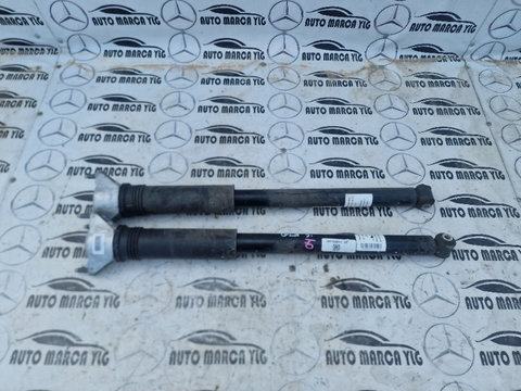 Set amortizoare spate Mercedes GLB X247 cod A2473209603