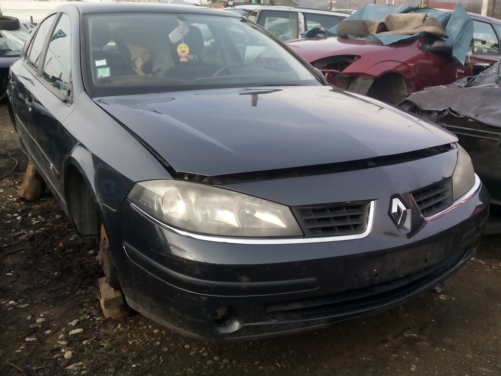 Set amortizoare spate Renault Laguna 200