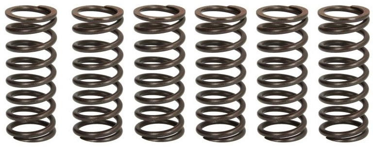 Set Arcuri Ambreiaj Moto Trw MEF326-6