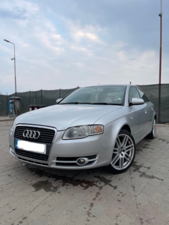 Set arcuri fata Audi A4 B7 2006 Berlina 1.9