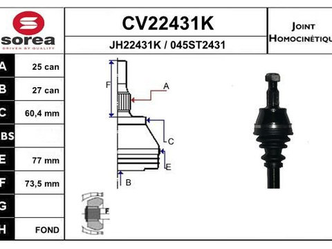 Set articulatie, planetara EAI CV22431K