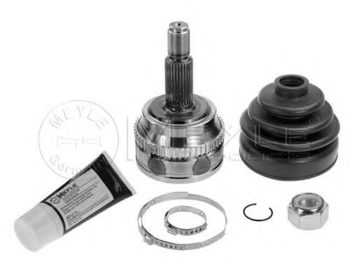 Set articulatie, planetara NISSAN INTERSTAR carose