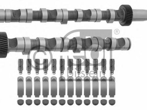 Set ax cu came AUDI A4 limuzina (8D2, B5), AUDI A8 limuzina (4D2, 4D8), VW PASSAT limuzina (3B2) - FEBI BILSTEIN 29926