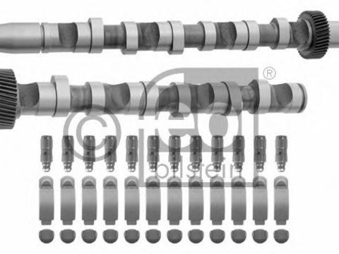 Set ax cu came AUDI A4 limuzina (8D2, B5), AUDI A8 limuzina (4D2, 4D8), VW PASSAT limuzina (3B2) - FEBI BILSTEIN 29924