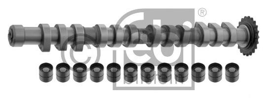 Set ax cu came AUDI A4 limuzina (8D2, B5), VW SHARAN (7M8, 7M9, 7M6), AUDI A3 (8L1) - FEBI BILSTEIN 33198