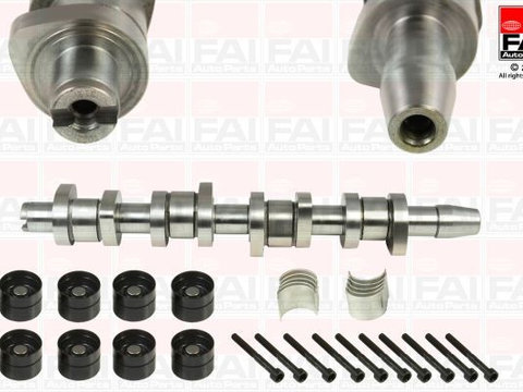 Set ax cu came CSK312 FAI AUTOPARTS pentru Seat Alhambra Vw Sharan Seat Ibiza Seat Cordoba Vw Golf Vw Rabbit Vw Touran Vw Caddy Seat Altea Skoda Octavia Seat Toledo Vw Passat Vw Jetta Vw Vento Seat Leon Vw Eos Vw Multivan Vw Eurovan Vw Kombi Vw Trans