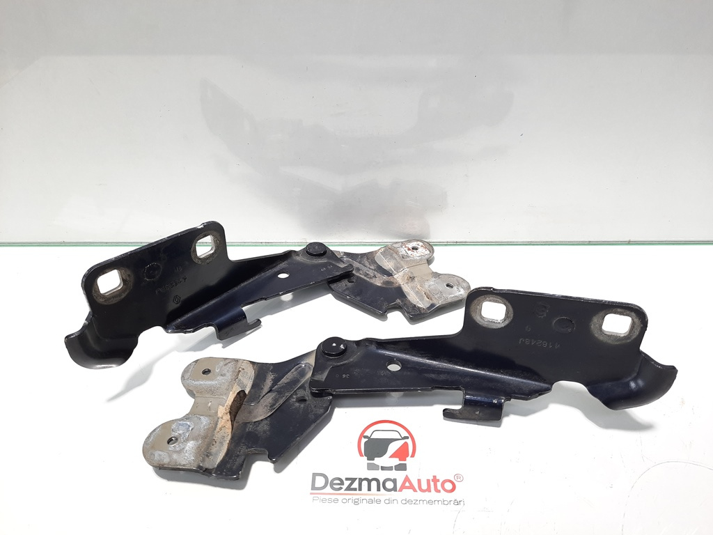 Set balamale capota fata, Renault Vel Satis [Fabr 2001-2009] (id:425160)