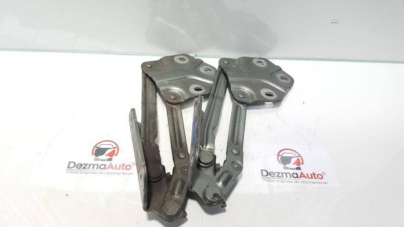 Set balamale capota fata, Vw Caddy 3 (2KA, 2KH) (id:355167) din dezmembrari