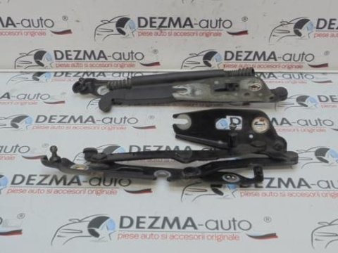 Set balamale capota spate, Audi A6