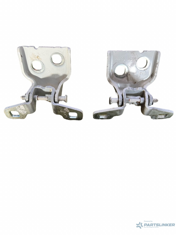 Set balamale portiera dreapta spate DACI