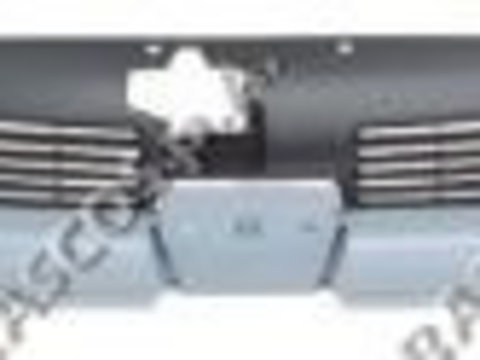 Set banda de protectie grila radiator PG0092305 PRASCO pentru Peugeot 206